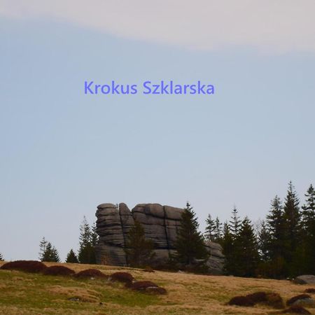 Apartament Krokus Szklarska ชกลาร์สกา ปอเรมบา ภายนอก รูปภาพ